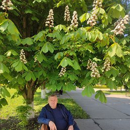  , 53 , 