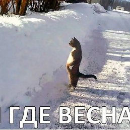 ������, ����, 59 ���