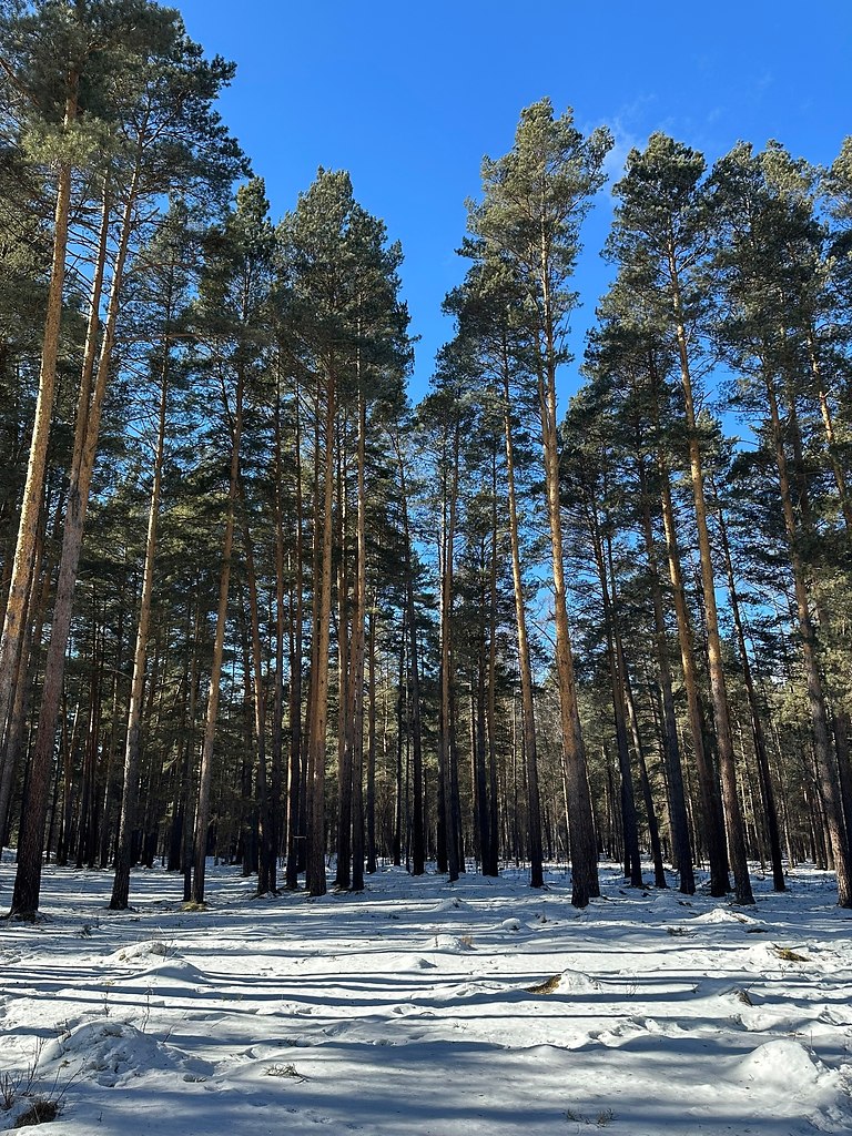 �ec������a a�ac��. ������� �o����, �paco�a �ec�o�o �apc��a. �ap�ca e���e�a