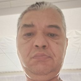 ����, ���, 49 ���