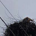 ���� �����, ������� ��������, 31 ��� - ��������� 6 ���� 2025 � ������ ���� ����������