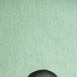 , 31, 
