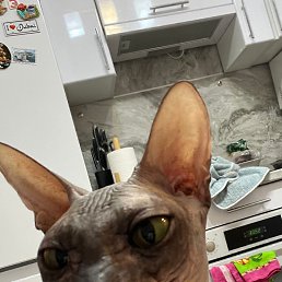 ���� �������, ������, 49 ��� - ��������� 20 ������ 2023