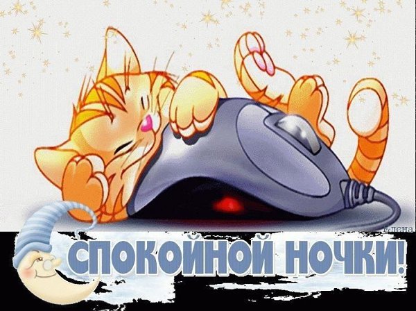 ����������� � ���������, �������� �� ������ ����. - 26 ������� 2026 � 21:48
