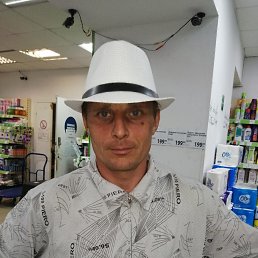 ������, 41 ���, ����