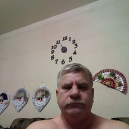  , 51 , 