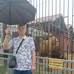 ���� ���������, ���������, 52 ���� - ��������� 23 �������� 2025