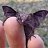 �lvaro