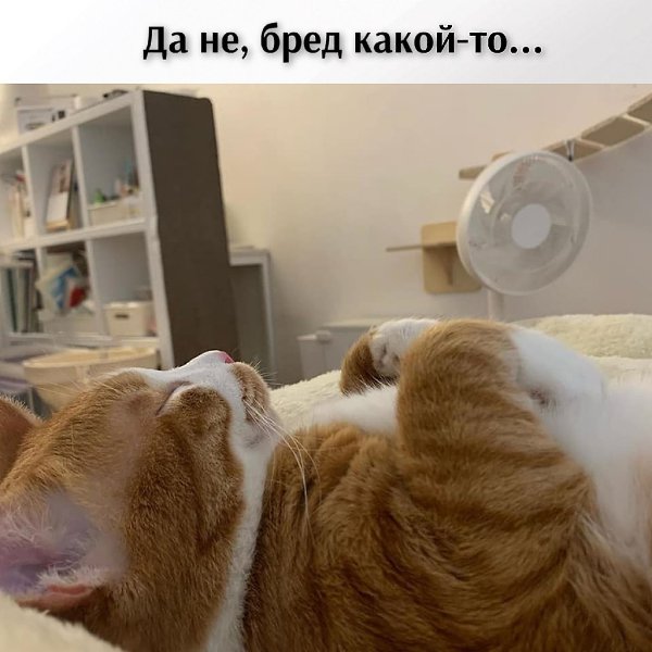 ��� ���� � ����� �� �� - 23 ������ 2026 � 12:42 - 3
