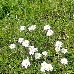 ���� �����, Tartu, 38 ��� - ��������� 25 ���� 2025