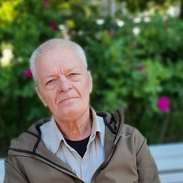 ���� ����� ���������, �����-���������, 64 ���� - ��������� 19 ������� 2024