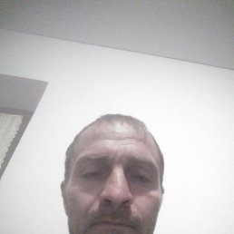 , 40, 