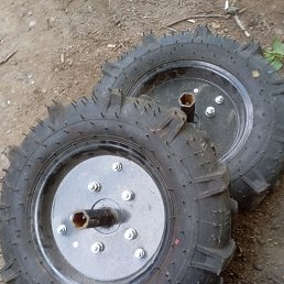 ���� �������, ��������, 56 ��� - ��������� 6 ������� 2026