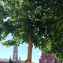 ���� �������, ��� - ��������� 6 ������� 2024 � ������ ���� ����������
