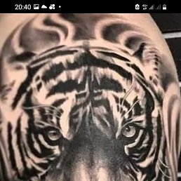 ���� ������, ����-���, 40 ��� - ��������� 2 ����� 2026