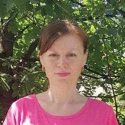 �������, ������, 41 ���