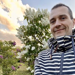 �����, ������, 40 ���