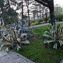 ���� *Galina*, ������, 54 ���� - ��������� 25 ������ 2026 � ������ ���� ����������