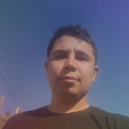 , 38, 