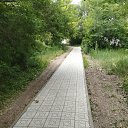 ���� �����, ������, 42 ���� - ��������� 9 ���� 2025