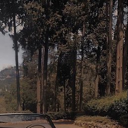 Jo&atilde;o Gabriel, ��������, 22 ����