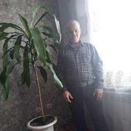 ���� ����, �����, 53 ���� - ��������� 15 ������� 2025