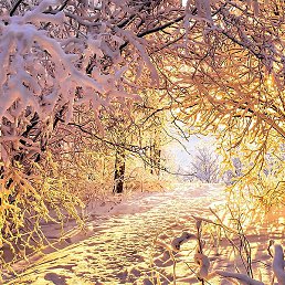 ���, ������, 88 ���