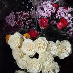 ���� �����, �����, 26 ��� - ��������� 23 ��� 2026