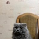 ���� Mikhail, �����-��������� - ��������� 12 ������ 2025 � ������ ������ ��������
