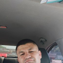 ���� �����, �������, 44 ���� - ��������� 1 ���� 2024
