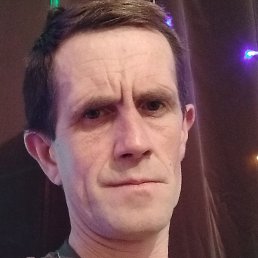 �����, �������, 41 ���