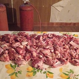 �����, �����-���������, 37 ���