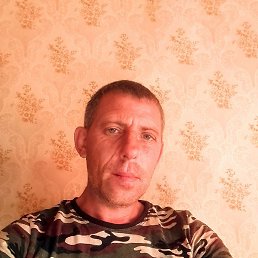 �����, ������, 41 ���