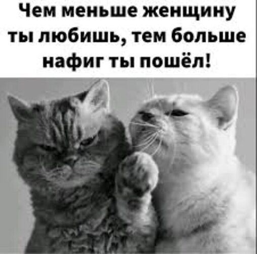 � ���� ��������� ����������... � �������� �������... ���� ��� � ��� ��... � ������������ � �������.. ...