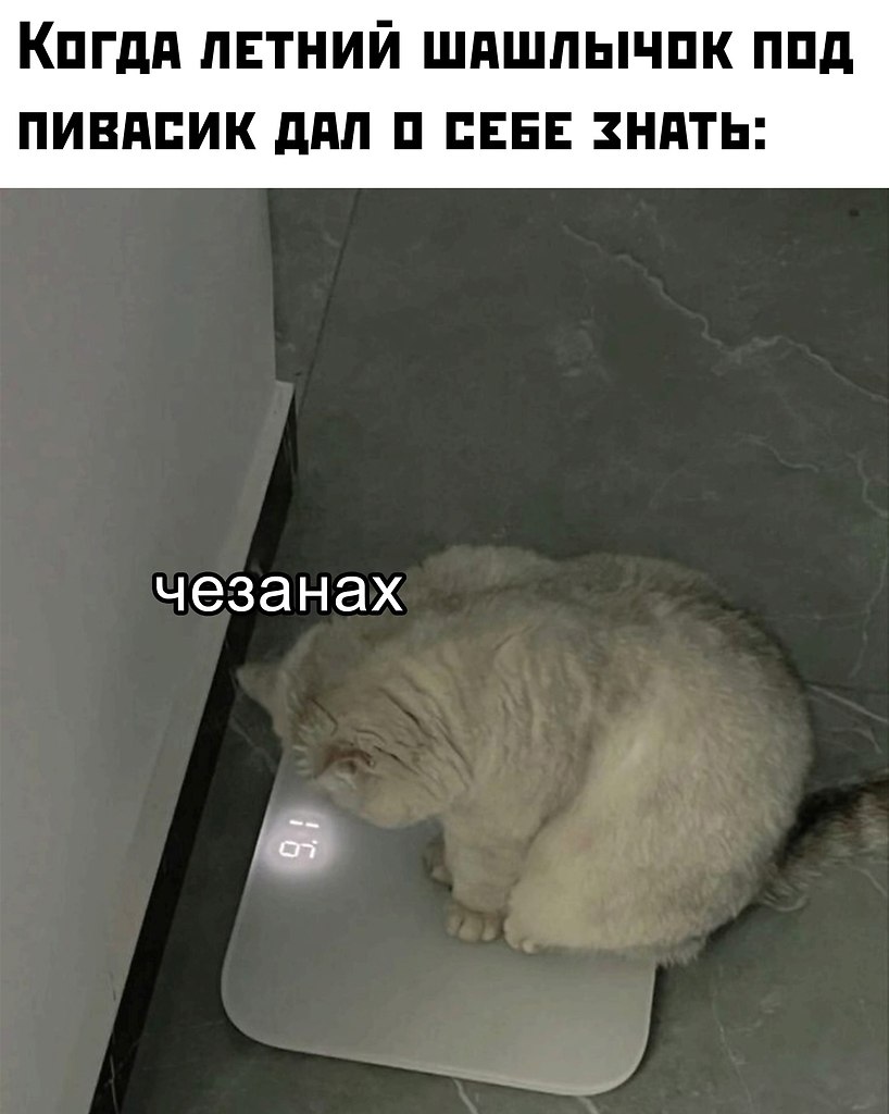 Идеи для дома - 19 октября 2025 в 16:31