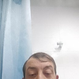 ���� ������ ���������, ������, 43 ���� - ��������� 21 ���� 2025