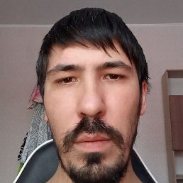 �������, �������, 37 ���