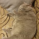 ���� �������, ������ - ��������� 19 ������ 2025 � ������ ������ ��������