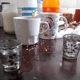 ���� �����, �����-���������, 46 ��� - ��������� 19 ���� 2024