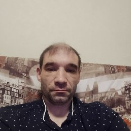 ����, 41 ���, ������