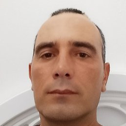 �����, ������, 40 ���