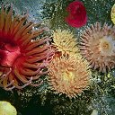 ���� Dba Lavy, ������ �������� - ��������� 7 ����� 2024 � ������ ������ ��������