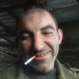 ������, ����������, 39 ���