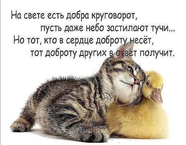   ! - 21  2025  13:56