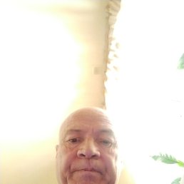 , 61, 