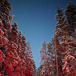 ���� ���������, ����, 48 ��� - ��������� 1 ������ 2026