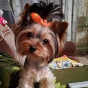 ���� �������, �������, 60 ��� - ��������� 20 ������ 2025 � ������ ���� ����������