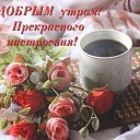 ���� �������@, �������� - ��������� 17 ������� 2026 � ������ ������ ��������