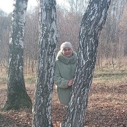 ���� �����, �����, 54 ���� - ��������� 1 ������ 2026