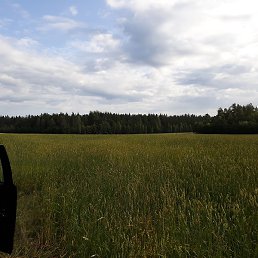 �����, �����-���������, 35 ���